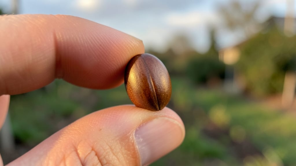 Apple Seed in Hand: Stress-Free Saving for Next Year’s Blooms